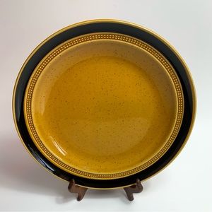 Vintage 70s Fuji-Stone Tahiti 2076 Dinner Plates Set of 2